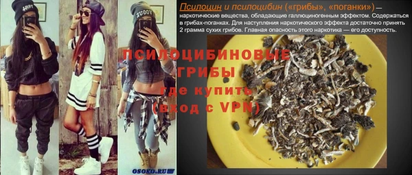 гидра Балахна
