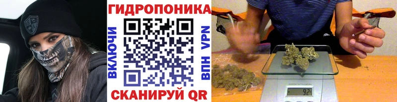 Купить закладки  Узловая  Конопля марихуана 